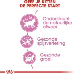 Royal Canin Kitten - Kittenvoer - 2 Kg -Kattenbenodigdheden Winkel 1188x1200 3