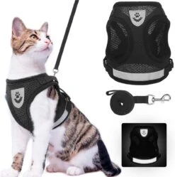 Merkloos Kittentuigje - Kattentuigje Reflecterend - Kattenharnas - Kattentuig Met Looplijn - Zwart - Maat XS 12 Merkloos Kittentuigje - Kattentuigje Reflecterend - Kattenharnas - Kattentuig Met Looplijn - Zwart - Maat XS -Kattenbenodigdheden Winkel 1189x1200 9