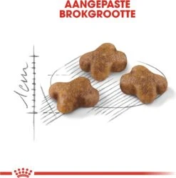 Royal Canin Kitten - Kittenvoer - 2 Kg -Kattenbenodigdheden Winkel 1190x1200 2