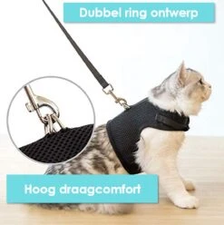 Kattentuigje Met Leiband Riem Kattenharnas Geel Maat L Kat & Kitten - Dieren Kattenriem - Cat Leash - Halsomvang 24 Tot 33cm - Borstomvang 36 Tot 41cm - Zootic® -Kattenbenodigdheden Winkel 1194x1200 16