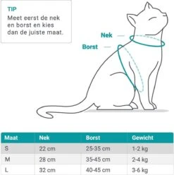 Merkloos Kattentuigje Met Looplijn | Zwart Kattenharnas | Easy Step In | Kattenriem | Kattenlijn | Kattentuig | Maat S 16 Merkloos Kattentuigje Met Looplijn | Zwart Kattenharnas | Easy Step In | Kattenriem | Kattenlijn | Kattentuig | Maat S -Kattenbenodigdheden Winkel 1195x1200 16