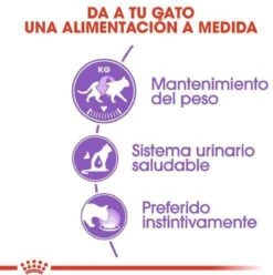 Royal Canin Sterilised In Jelly - Kattenvoer - 1020 G 26 Royal Canin Sterilised In Jelly - Kattenvoer - 1020 G -Kattenbenodigdheden Winkel 1197x1200 1