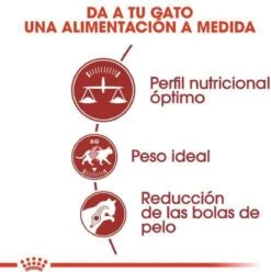 Royal Canin Fit 32 - Kattenvoer - 10 Kg -Kattenbenodigdheden Winkel 1197x1200 3