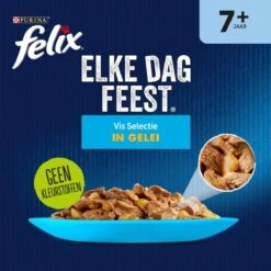Felix Elke Dag Feest Vis 7+ Senior - Katten Natvoer - 48 X 85g -Kattenbenodigdheden Winkel 1198x1200 2