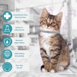 Biologische Vlooien- En Tekenband Voor Katten - BLAUW - Zonder Giftige Pesticiden - Veilig En Verantwoord -Kattenbenodigdheden Winkel 1199x1200 1