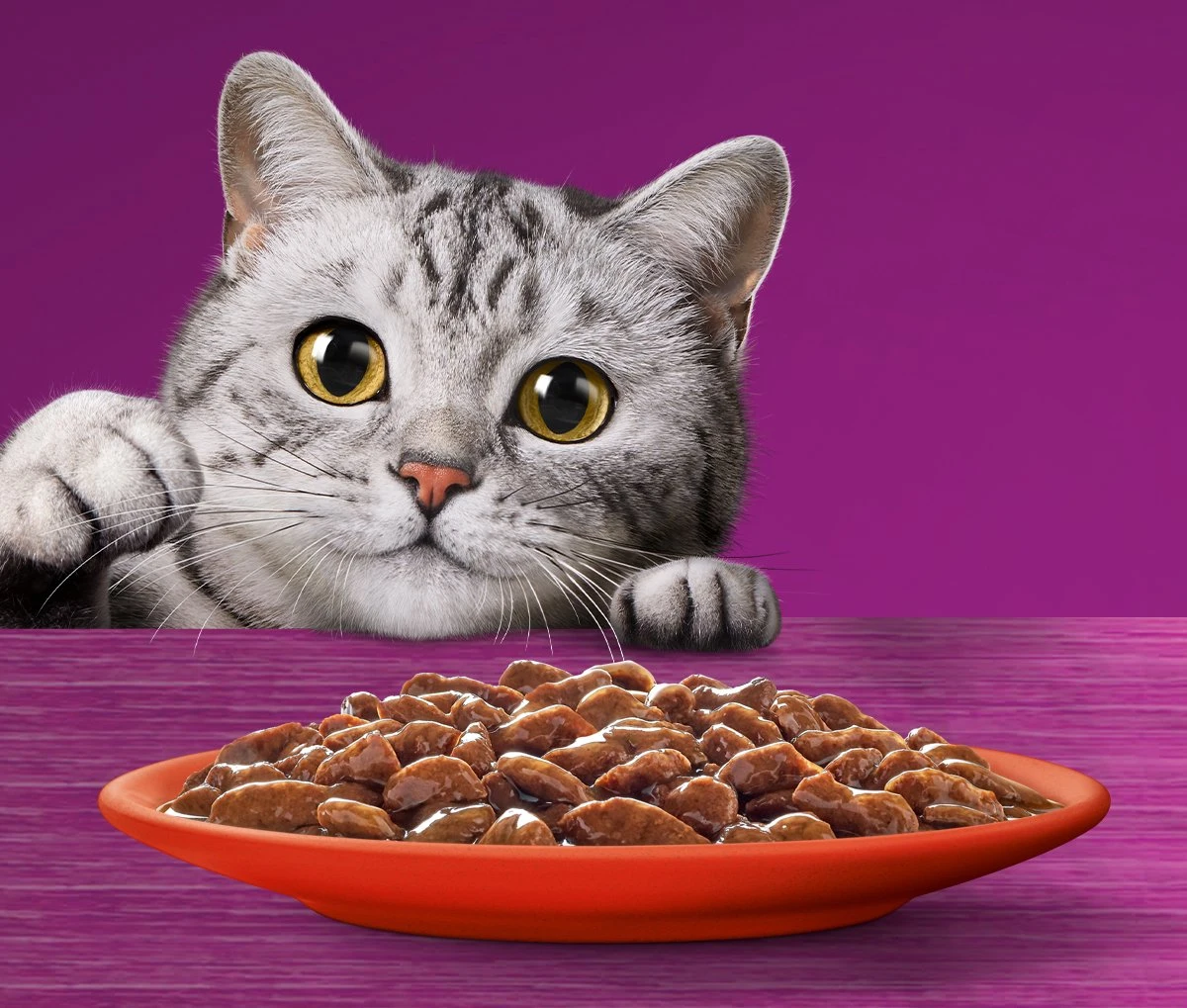 Whiskas 7+ Natvoer - Classic - Selectie In Saus - Maaltijdzakjes 48 X 85 G 4 Whiskas 7+ Natvoer - Classic - Selectie In Saus - Maaltijdzakjes 48 X 85 G - Afbeelding 4