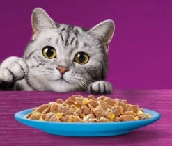 Whiskas 1+ Natvoer - Vis - Selectie In Gelei - Maaltijdzakjes 40 X 85 G 8 Whiskas 1+ Natvoer - Vis - Selectie In Gelei - Maaltijdzakjes 40 X 85 G -Kattenbenodigdheden Winkel 1200x1019 5