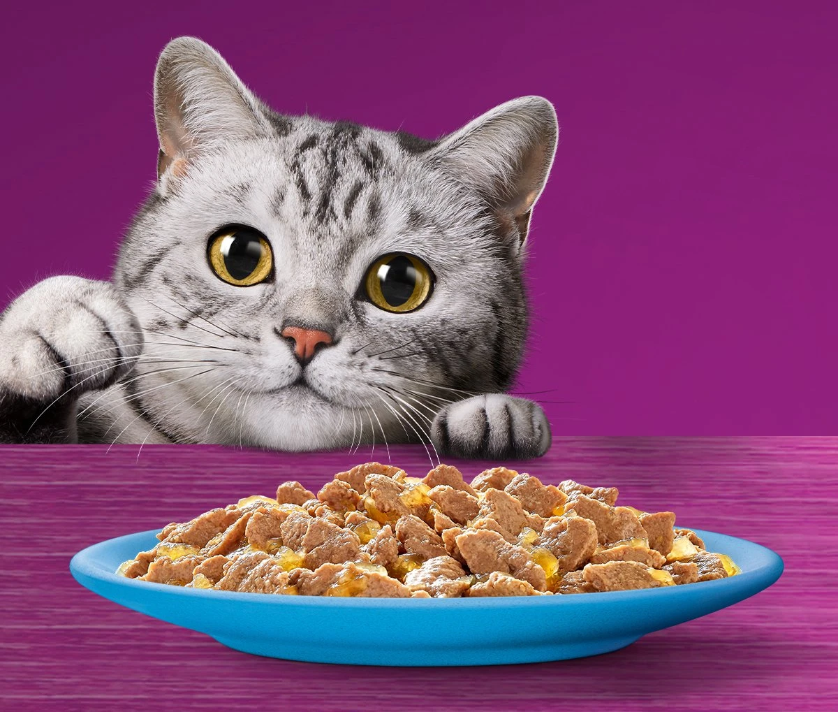 Whiskas 1+ Natvoer - Vis - Selectie In Gelei - Maaltijdzakjes 40 X 85 G 4 Whiskas 1+ Natvoer - Vis - Selectie In Gelei - Maaltijdzakjes 40 X 85 G - Afbeelding 4