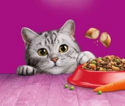 Whiskas 1+ Kattenbrokken - Rund - Doos 5 X 950 G -Kattenbenodigdheden Winkel 1200x1019 6