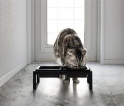 Yamazaki Eetbak - Voederbak Kat - Tweeledig - Zwart 14 Yamazaki Eetbak - Voederbak Kat - Tweeledig - Zwart -Kattenbenodigdheden Winkel 1200x1025 3