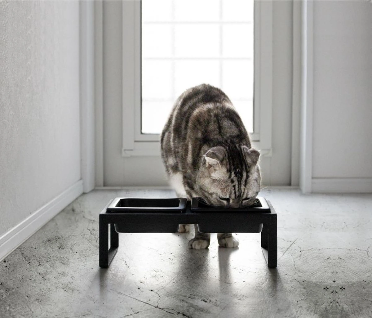 Yamazaki Eetbak - Voederbak Kat - Tweeledig - Zwart 6 Yamazaki Eetbak - Voederbak Kat - Tweeledig - Zwart - Afbeelding 6