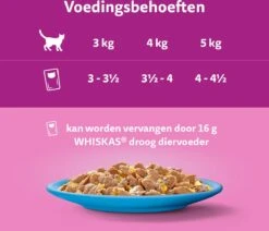 Whiskas 7+ Natvoer - Vis - Selectie In Gelei - Maaltijdzakjes 48 X 85 G 10 Whiskas 7+ Natvoer - Vis - Selectie In Gelei - Maaltijdzakjes 48 X 85 G -Kattenbenodigdheden Winkel 1200x1030 3