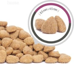 Husse Exclusive Katt Sterilised - Kattenvoer -7 Kg -Kattenbenodigdheden Winkel 1200x1033 2