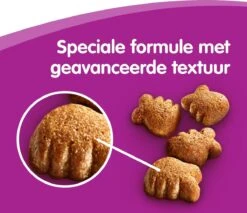 Whiskas Dentabites Kattensnoepjes - Kip - 8 X 40g -Kattenbenodigdheden Winkel 1200x1033 4