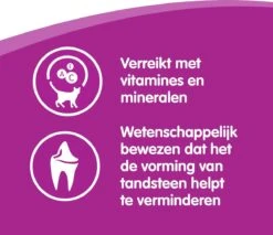 Whiskas Dentabites Kattensnoepjes - Kip - 8 X 40g -Kattenbenodigdheden Winkel 1200x1033 5