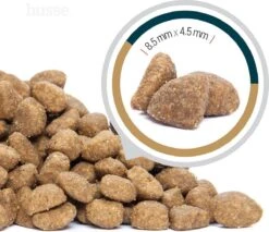 Husse Opus Lynx Senior Graanvrij Kattenvoer - 7 Kg -Kattenbenodigdheden Winkel 1200x1036