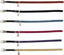 Kattenbenodigdheden Winkel -Kattenbenodigdheden Winkel 1200x1037 6