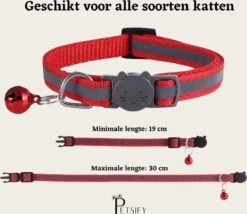 Petsify - Kattenhalsband Met Belletje - Veiligheidssluiting - Reflecterend - Halsband Kat - Halsband Kitten - Set Van 11 -Kattenbenodigdheden Winkel 1200x1038 4