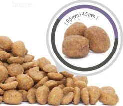 Husse Katt Urinary - Kattenvoer Blaasgruis - 2 Kg -Kattenbenodigdheden Winkel 1200x1041 2