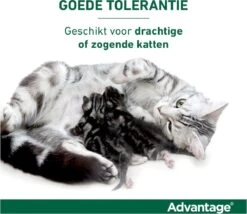 Bayer Advantage 40 Tegen Vlooien - <4kg - 4 X 0,4 Ml - Adult -Kattenbenodigdheden Winkel 1200x1042