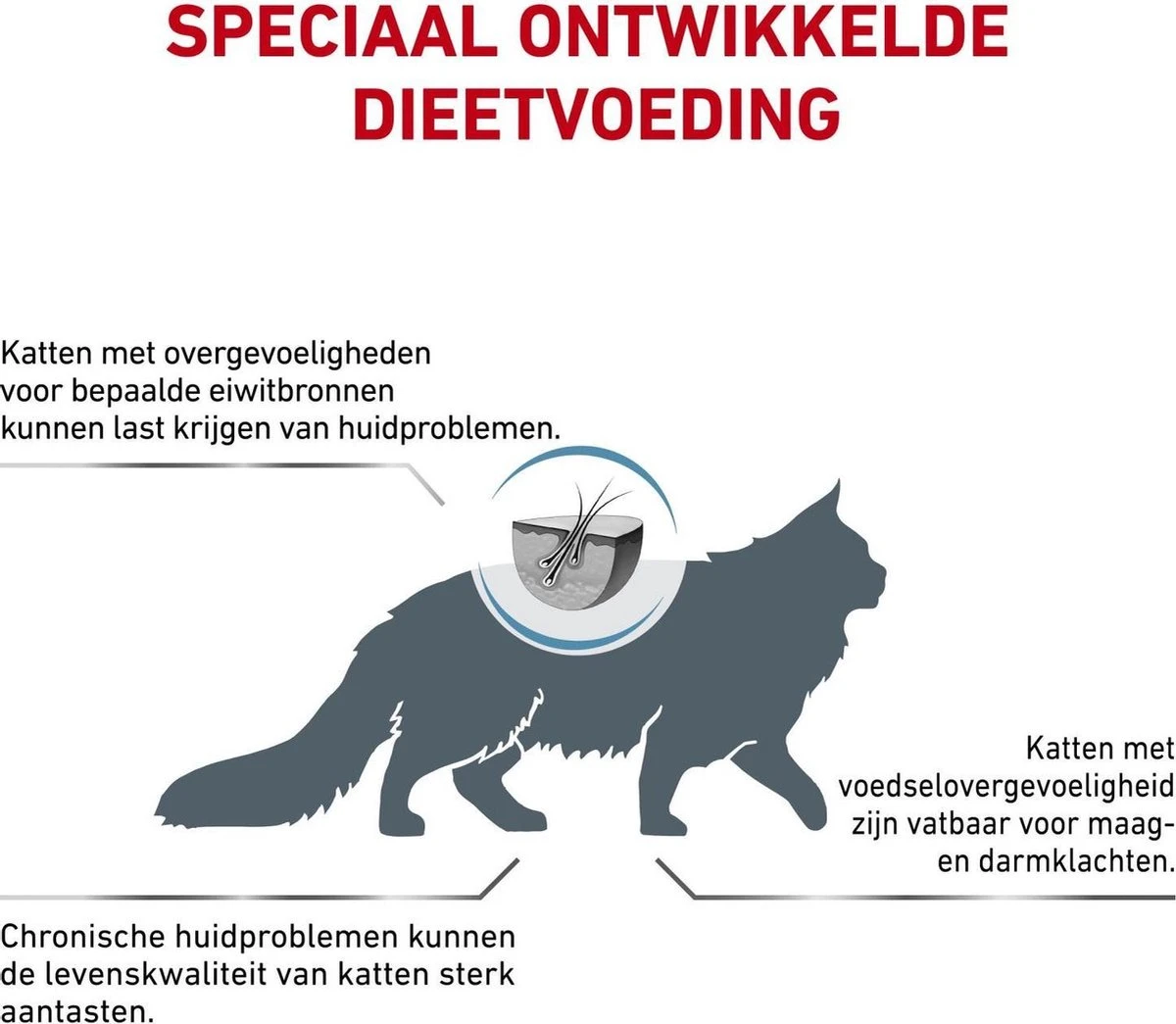 Royal Canin Hypoallergenic - Kattenvoer - 2,5 Kg 3 Royal Canin Hypoallergenic - Kattenvoer - 2,5 Kg - Afbeelding 3