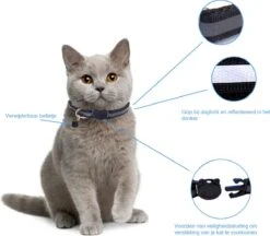 Kattenhalsband Veiligheidssluiting Kattenbandje Kitten Halsband Katten Halsband Reflecterend Verstelbaar 18-32Cm – Zwart -Kattenbenodigdheden Winkel 1200x1047 6