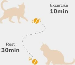 Cheerble Mini Ball 2.0 - Slimme Interactieve Zelf Rollende Bal Voor Katten - 3 Speelmodi - Kattenspeeltjes - USB Oplaadbaar - Rood -Kattenbenodigdheden Winkel 1200x1051 3