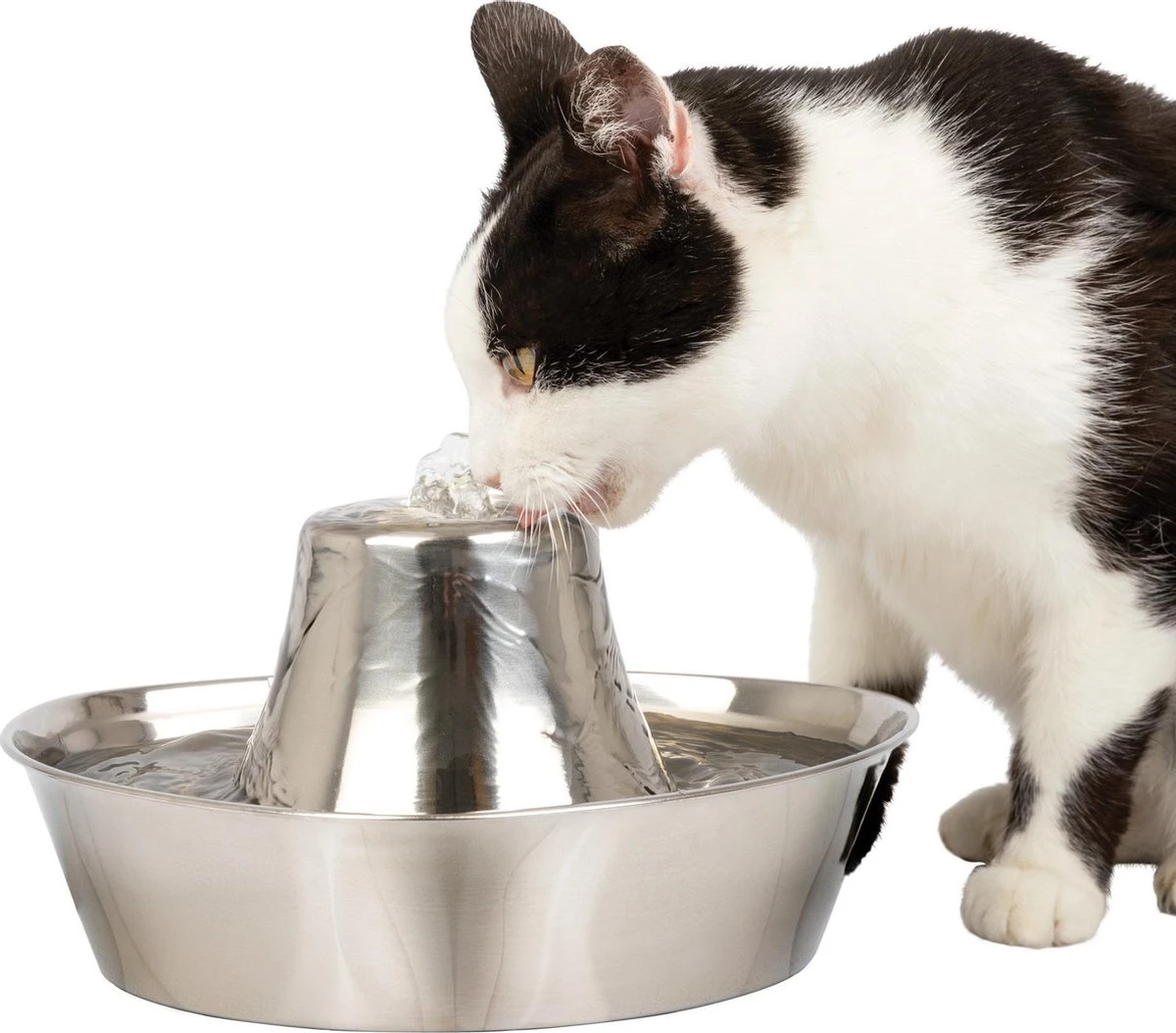 PetSafe® Seaside Stainless Steel Pet Fountain - RVS Drinkfontein Voor Katten En Kleine Honden - Water Borrelt Zacht Over De Toren - Door Het Design Van Alle Kanten Bereikbaar - 1,8 Liter - PetSafe Seaside 1 PetSafe® Seaside Stainless Steel Pet Fountain - RVS Drinkfontein Voor Katten En Kleine Honden - Water Borrelt Zacht Over De Toren - Door Het Design Van Alle Kanten Bereikbaar - 1,8 Liter - PetSafe Seaside
