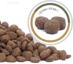 Husse Opus Lynx Graanvrij Kattenvoer - 7 Kg -Kattenbenodigdheden Winkel 1200x1056