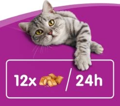Whiskas Temptations Kattensnacks - Kip En Kaas - 8 X 60 Gr 10 Whiskas Temptations Kattensnacks - Kip En Kaas - 8 X 60 Gr -Kattenbenodigdheden Winkel 1200x1064 5
