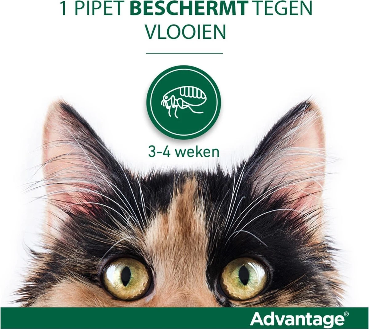 Bayer Anti Vlooienmiddel Advantage 80 > 4 Kg - 4 X 0,8 Ml 10 Bayer Anti Vlooienmiddel Advantage 80 > 4 Kg - 4 X 0,8 Ml - Afbeelding 10