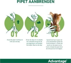 Bayer Anti Vlooienmiddel Advantage 80 > 4 Kg - 4 X 0,8 Ml 26 Bayer Anti Vlooienmiddel Advantage 80 > 4 Kg - 4 X 0,8 Ml -Kattenbenodigdheden Winkel 1200x1073 1