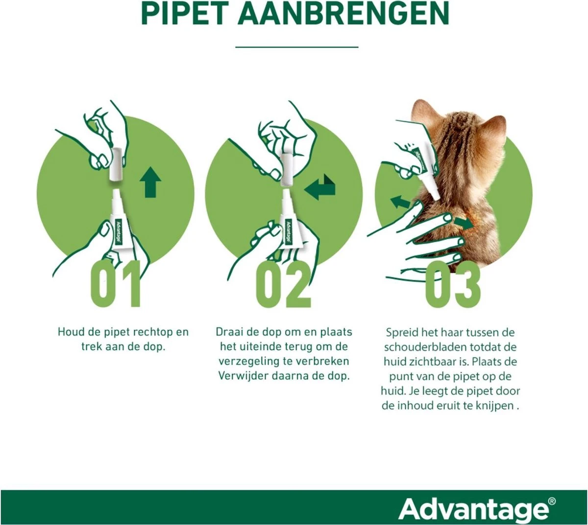 Bayer Anti Vlooienmiddel Advantage 80 > 4 Kg - 4 X 0,8 Ml 9 Bayer Anti Vlooienmiddel Advantage 80 > 4 Kg - 4 X 0,8 Ml - Afbeelding 9