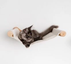 RHRQuality Wandmeubel Wandmontage Klimmuur Kat 53 X 43cm Luxe Hangmat XXL Creme Klim Wand Muur Krabpaal Katten Muurbevestiging -Kattenbenodigdheden Winkel 1200x1080 2