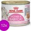 Royal Canin Wet Mother & Babycat Mousse - Kattenvoer - 195 Gr