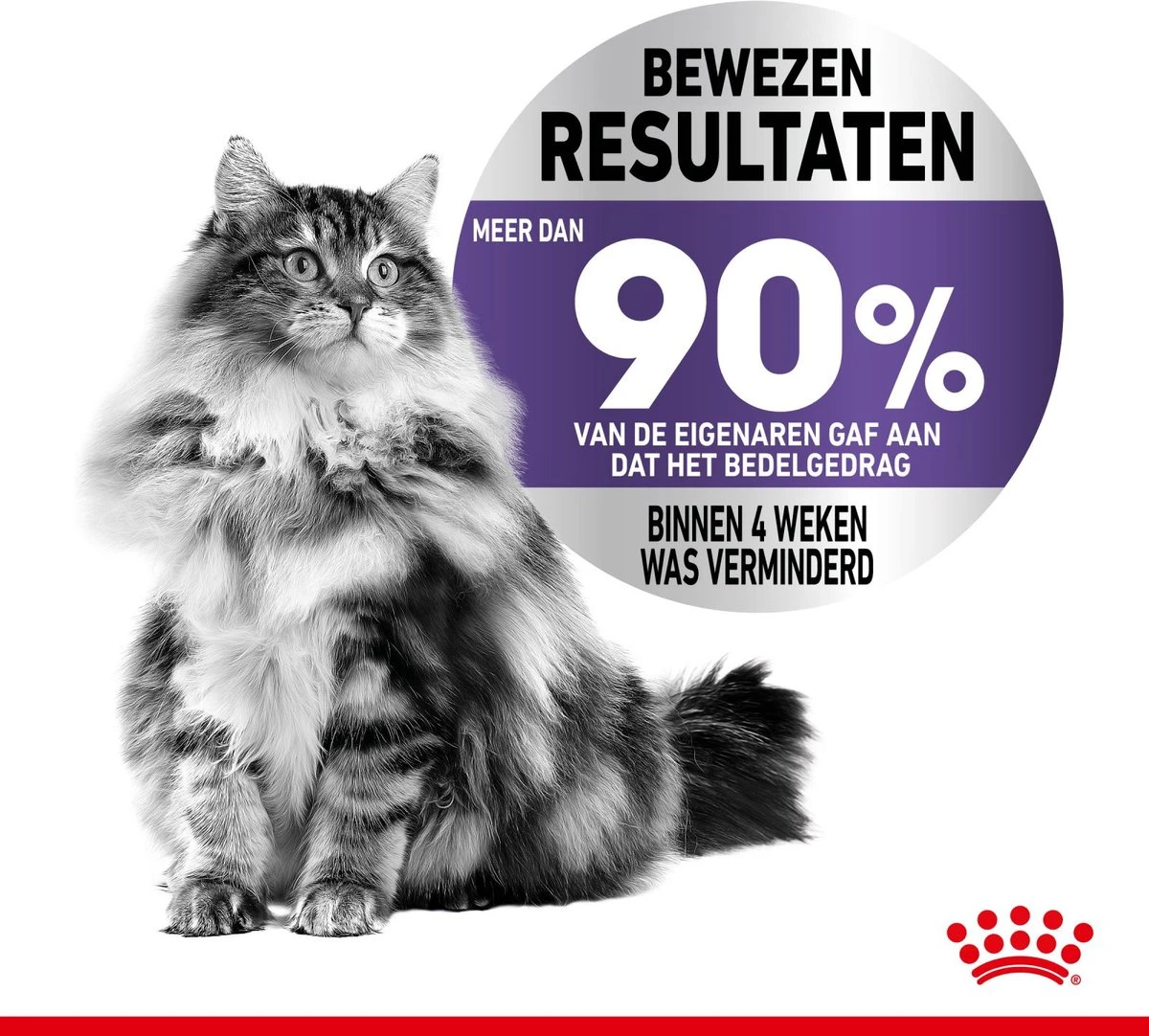 Royal Canin Appetite Control Care - Kattenvoer - 2 Kg 6 Royal Canin Appetite Control Care - Kattenvoer - 2 Kg - Afbeelding 6