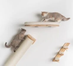 RHRQuality Wandmeubel Wandmontage Klimmuur Kat 53 X 43cm Luxe Kattenbed Creme Wand Muur Krabpaal Katten Muurbevestiging 13 RHRQuality Wandmeubel Wandmontage Klimmuur Kat 53 X 43cm Luxe Kattenbed Creme Wand Muur Krabpaal Katten Muurbevestiging -Kattenbenodigdheden Winkel 1200x1090