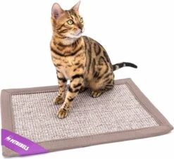 Petrebels Mastermat 60 Katten Krabmat - Cappuccino - 60 X 40 Cm - Zeer Sterk -Kattenbenodigdheden Winkel 1200x1099