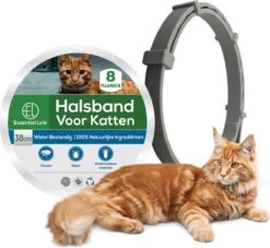 Essential Link Teken- En Vlooienband - Vlooienband Kat – Anti Vlooien – Vlooienmiddel - Tekenband - Diervriendelijk -Kattenbenodigdheden Winkel 1200x1102