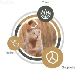 Husse Exclusive Lam & Rijst - Kattenvoer - 7 Kg -Kattenbenodigdheden Winkel 1200x1104