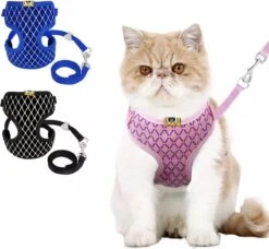 Merkloos Kattentuigje Met Looplijn - Kattenharnas - Kittentuigje - Kattenriem Met Looplijn - Kitten Tuigje Verstelbaar - Roze - Ixen 6 Merkloos Kattentuigje Met Looplijn - Kattenharnas - Kittentuigje - Kattenriem Met Looplijn - Kitten Tuigje Verstelbaar - Roze - Ixen -Kattenbenodigdheden Winkel 1200x1107 4