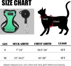 Kattentuigje Met Leiband Riem Kattenharnas Groen Maat M Kat & Kitten - Dieren Kattenriem - Cat Leash - Halsomvang 20 Tot 26cm - Borstomvang 30 Tot 34cm - Zootic® -Kattenbenodigdheden Winkel 1200x1110