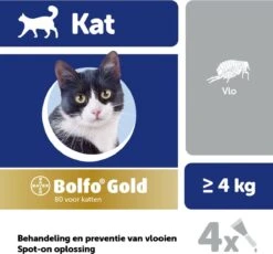 Bayer Bolfo Gold 80 Anti Vlooienmiddel - Kat - > 4 Kg - 4 Pipetten 11 Bayer Bolfo Gold 80 Anti Vlooienmiddel - Kat - > 4 Kg - 4 Pipetten -Kattenbenodigdheden Winkel 1200x1116