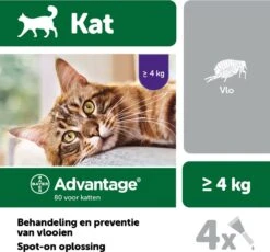 Bayer Anti Vlooienmiddel Advantage 80 > 4 Kg - 4 X 0,8 Ml 21 Bayer Anti Vlooienmiddel Advantage 80 > 4 Kg - 4 X 0,8 Ml -Kattenbenodigdheden Winkel 1200x1117 1