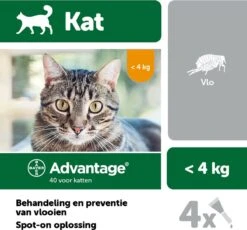 Bayer Advantage 40 Tegen Vlooien - <4kg - 4 X 0,4 Ml - Adult -Kattenbenodigdheden Winkel 1200x1117