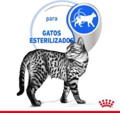 Royal Canin Feline Sterilised Indoor In Gravy -Kattenbenodigdheden Winkel 1200x1120 1
