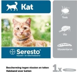 Kattenbenodigdheden Winkel -Kattenbenodigdheden Winkel 1200x1121