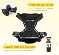 Nobleza Kattenharnas M Reflecterend Zwart Met Riem -Kattenbenodigdheden Winkel 1200x1121 8