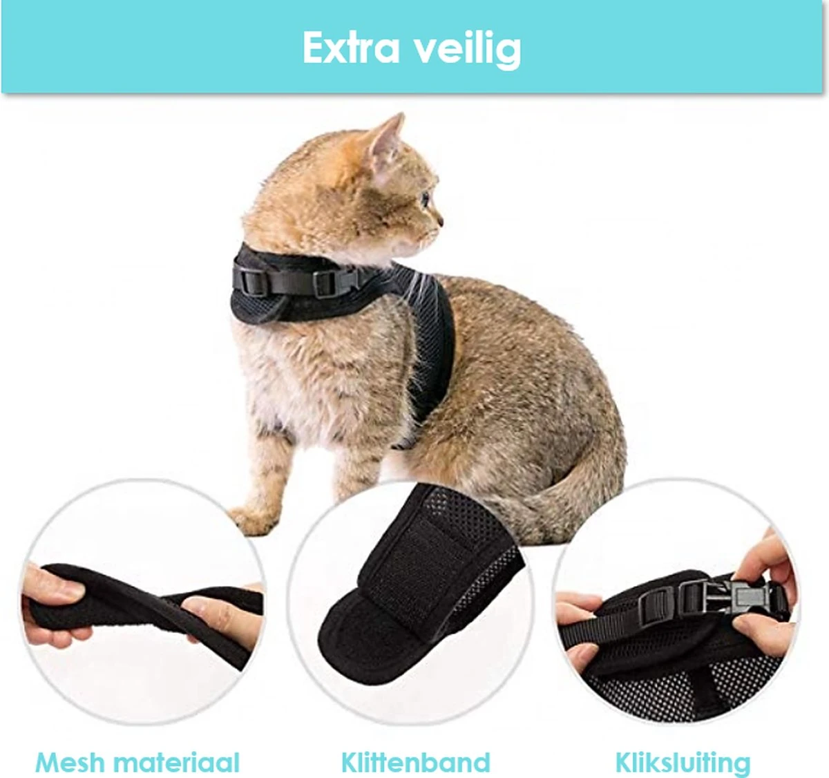 Kattentuigje Met Leiband Riem Kattenharnas Paars Maat M Kat & Kitten - Dieren Kattenriem - Cat Leash - Halsomvang 20 Tot 26cm - Borstomvang 30 Tot 34cm - Zootic® 3 Kattentuigje Met Leiband Riem Kattenharnas Paars Maat M Kat & Kitten - Dieren Kattenriem - Cat Leash - Halsomvang 20 Tot 26cm - Borstomvang 30 Tot 34cm - Zootic® - Afbeelding 3