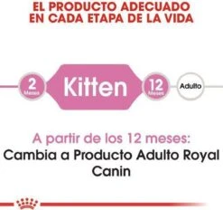 Royal Canin Kitten - Kittenvoer - 2 Kg -Kattenbenodigdheden Winkel 1200x1127 1